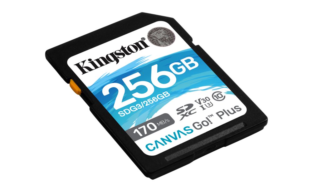 Kingston Technology Canvas Go! Plus 256 GB SD UHS-I Klasse 10 – 1