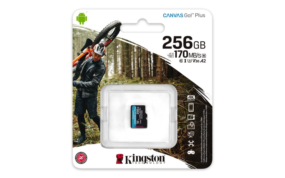 Kingston Technology Canvas Go! Plus 256 GB MicroSD UHS-I Klasse 10 – 2