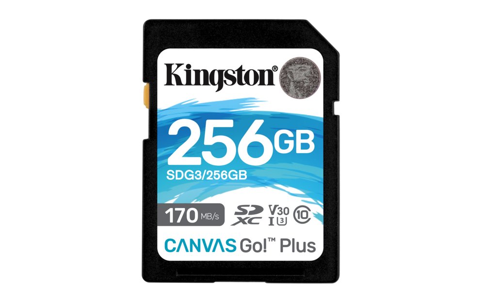 Kingston Technology Canvas Go! Plus 256 GB SD UHS-I Klasse 10 – 0