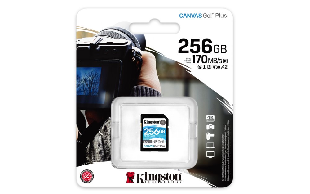 Kingston Technology Canvas Go! Plus 256 GB SD UHS-I Klasse 10 – 2