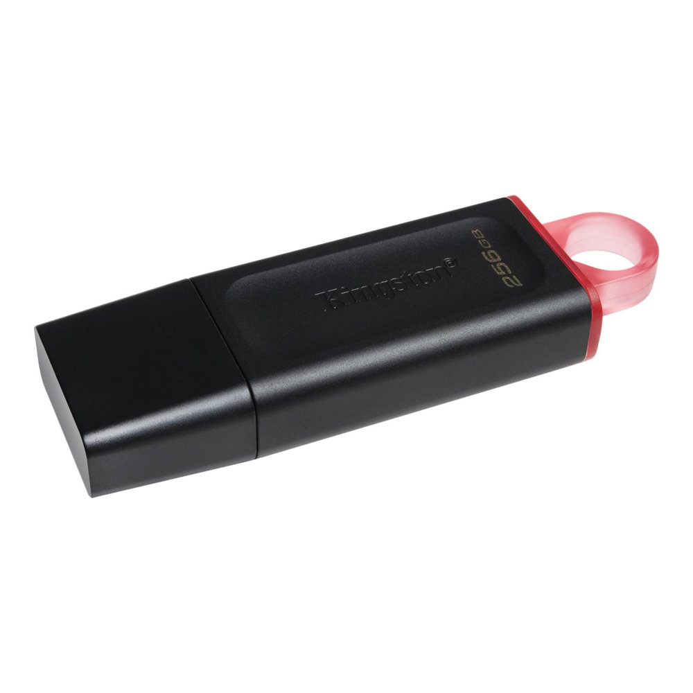 Kingston Technology DataTraveler Exodia USB flash drive 256 GB USB Type-A 3.2 Gen 1 (3.1 Gen 1) Zwart – 1