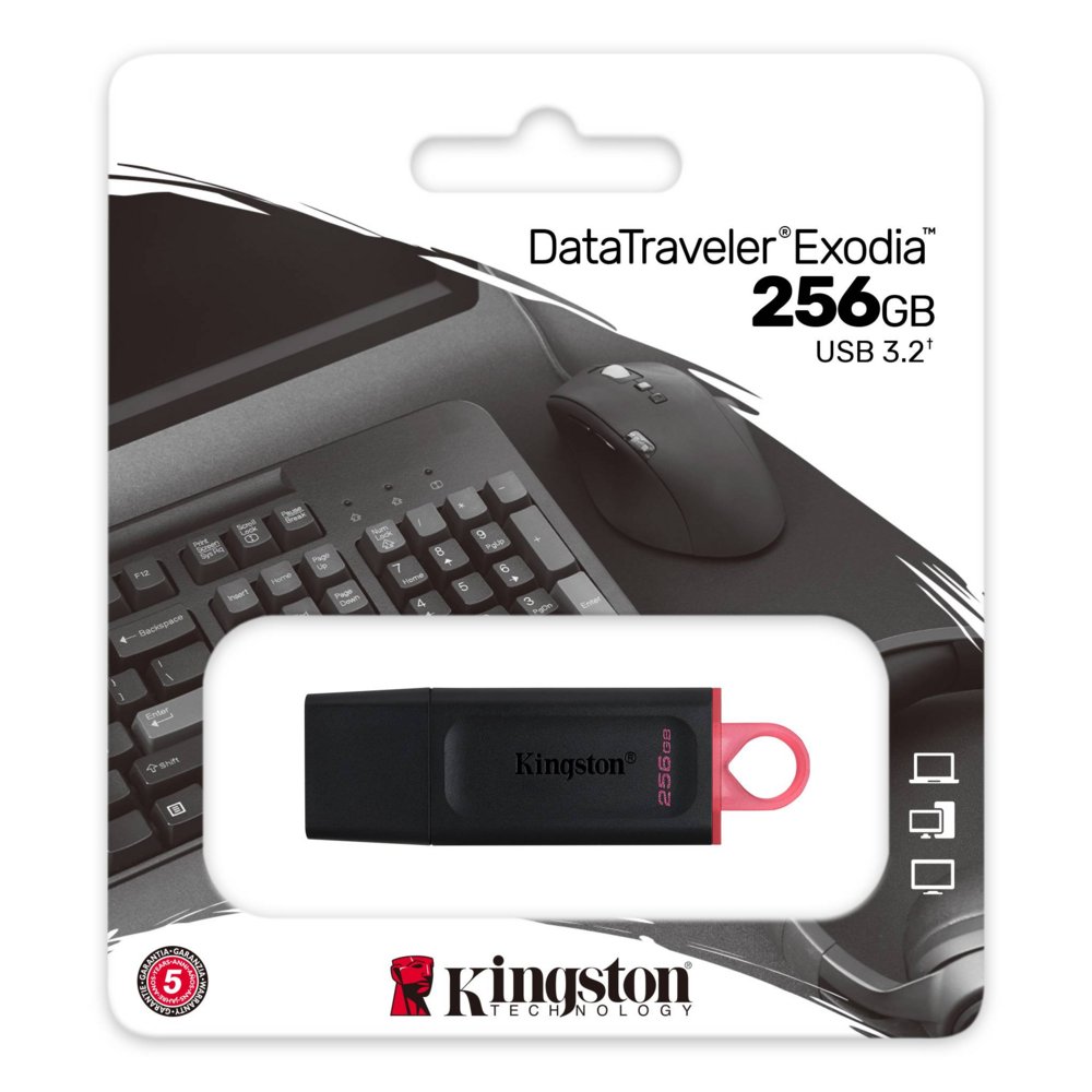 Kingston Technology DataTraveler Exodia USB flash drive 256 GB USB Type-A 3.2 Gen 1 (3.1 Gen 1) Zwart – 2