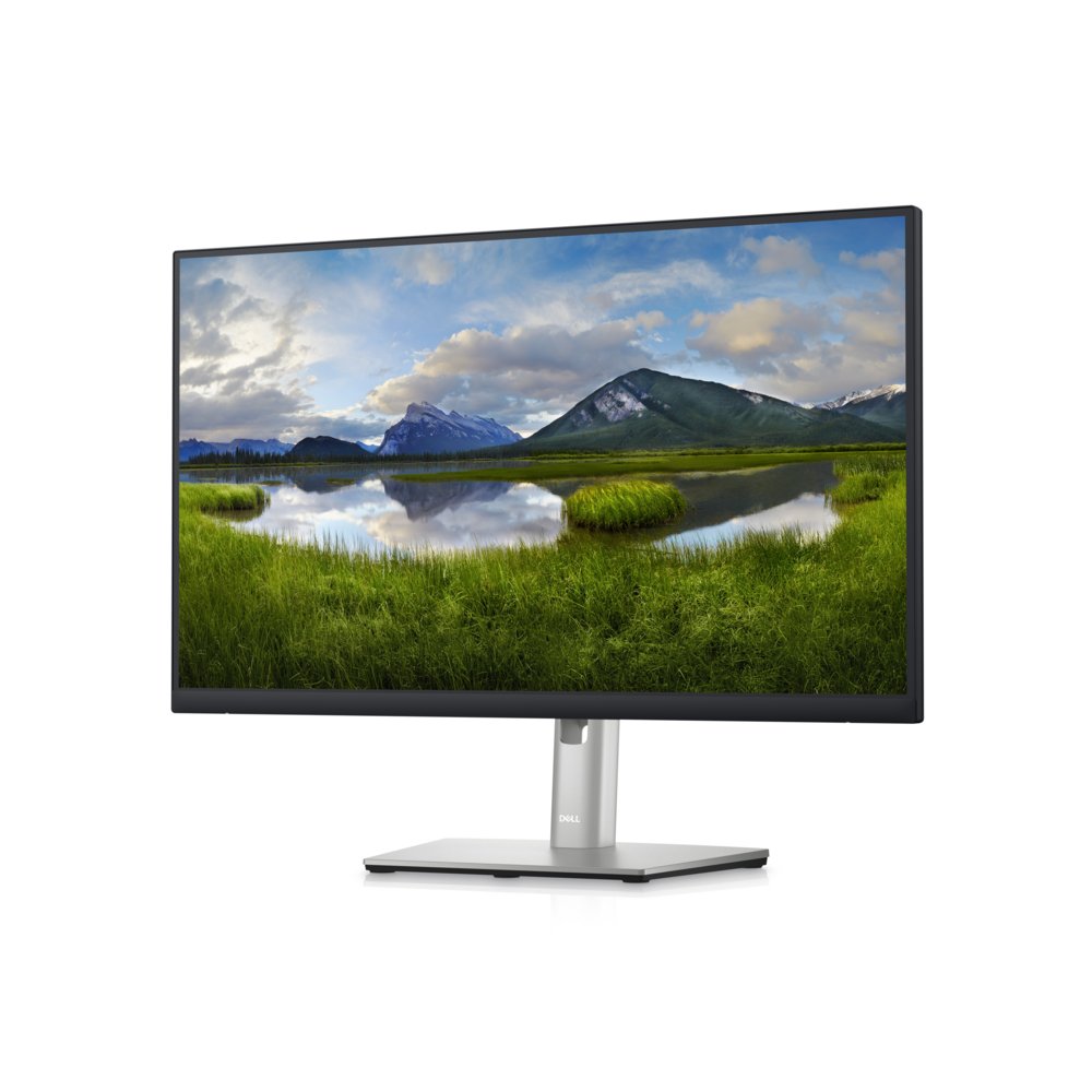 DELL P Series 24 inch QHD Monitor – P2423D – 1