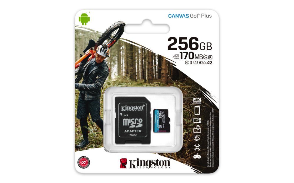 Kingston Technology Canvas Go! Plus 256 GB SD UHS-I Klasse 10 – 2