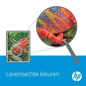 HP 302 | Originele Zwarte Inktcartridge - Afbeelding 5
